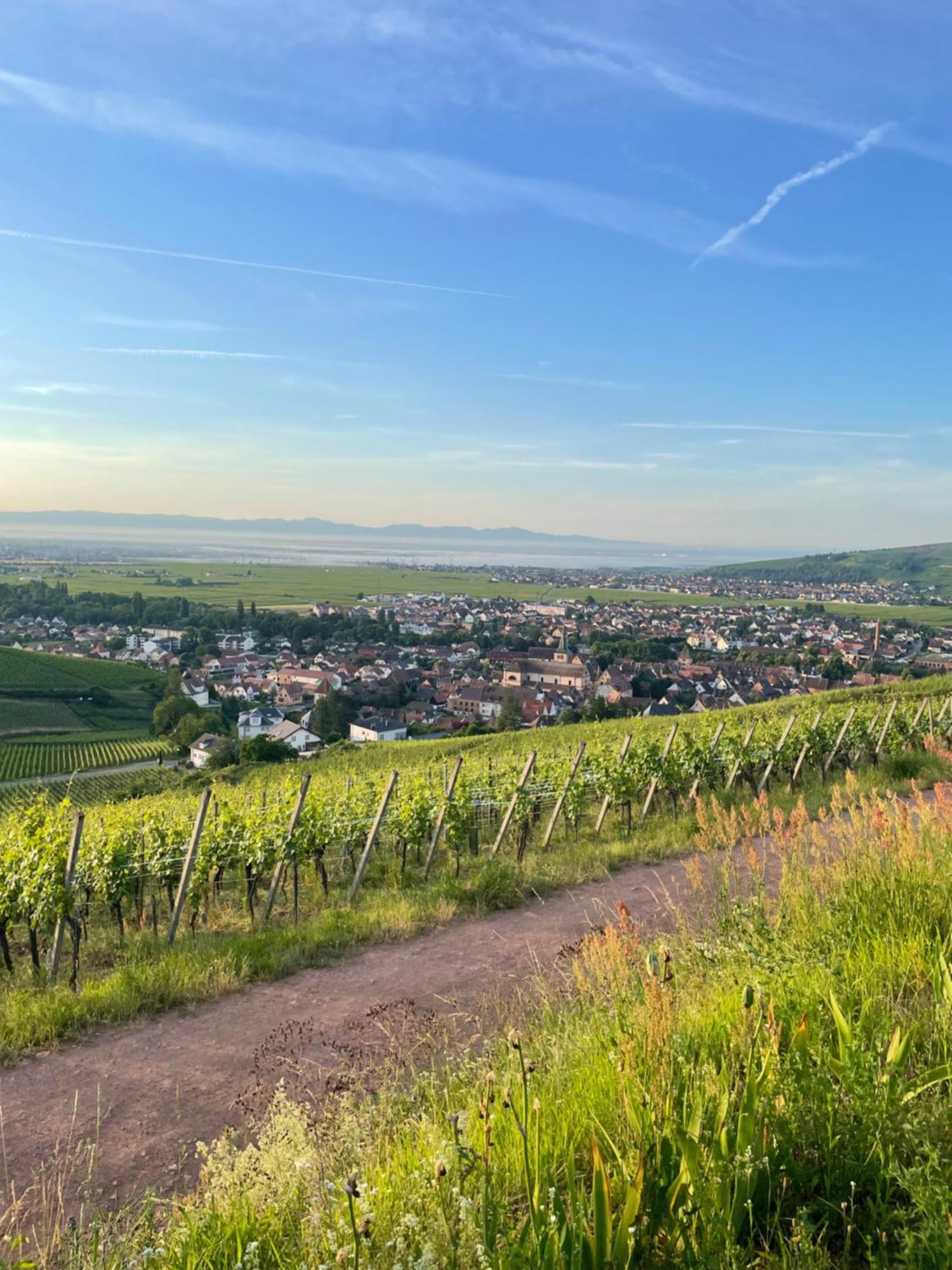 Le Trente A Turckheim Vila Exterior foto